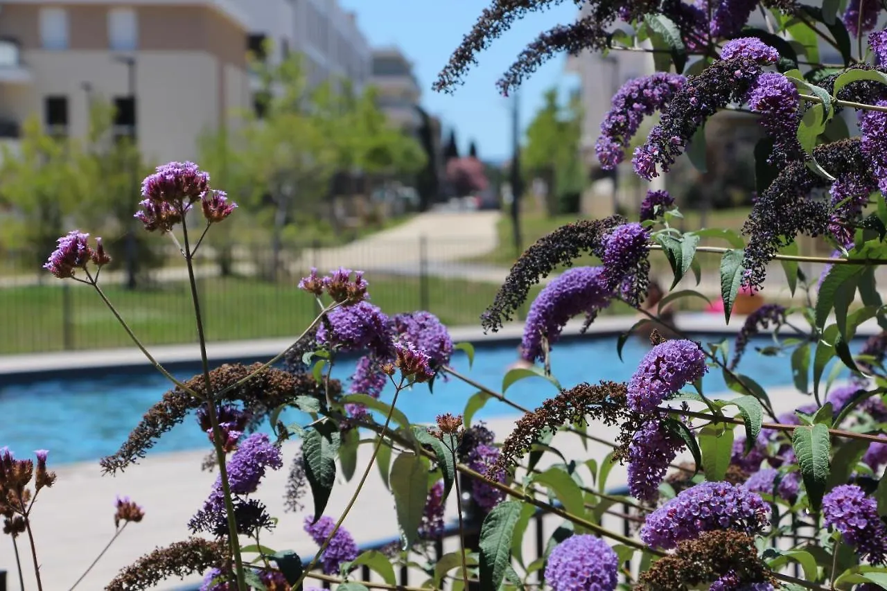 Logement 0*, La Londe-les-Maures France